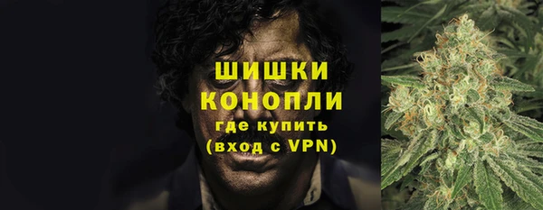 прущий лед Арсеньев