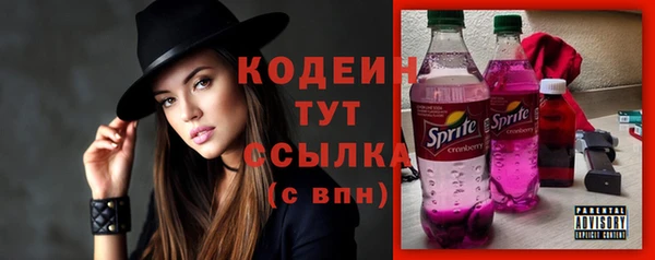 прущий лед Арсеньев