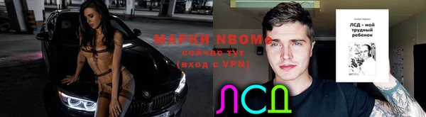прущий лед Арсеньев