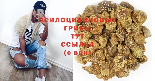 a pvp Армянск