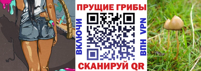 Галлюциногенные грибы мицелий Почеп
